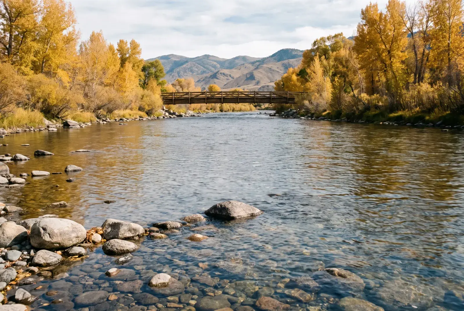 A footbridge over the Truckee River in autumn, cottonwoods gold along both banks